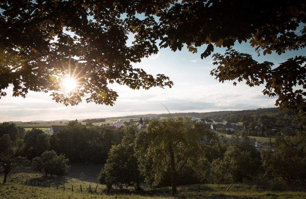 Landschaft um Wangen & Oberwälden