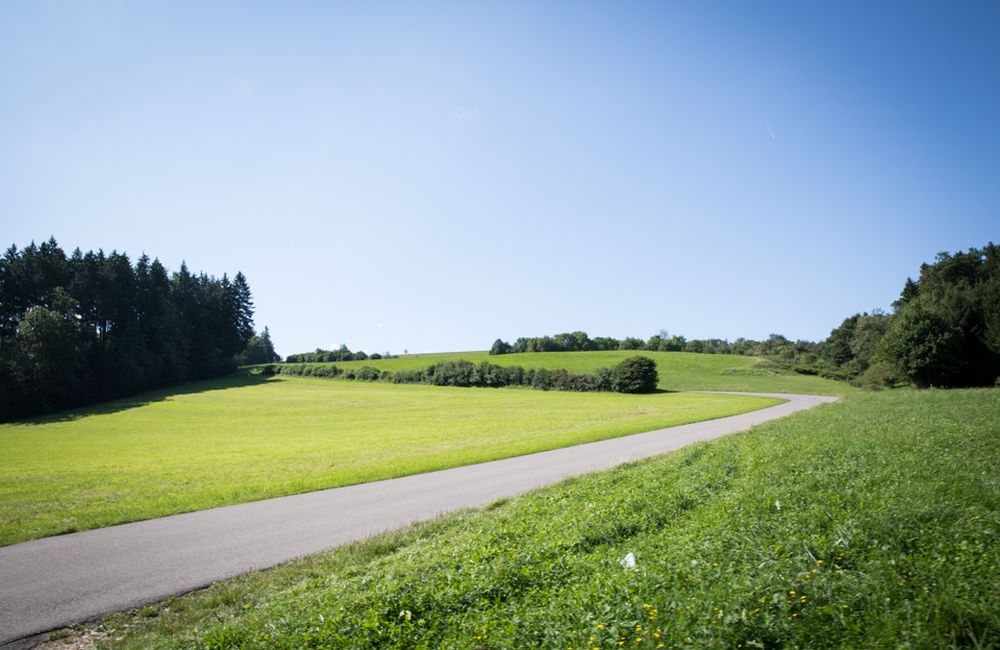 Landschaft um Wangen & Oberwälden