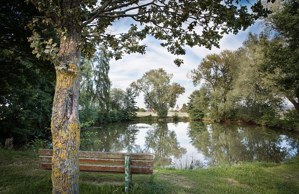 Oberwälder See