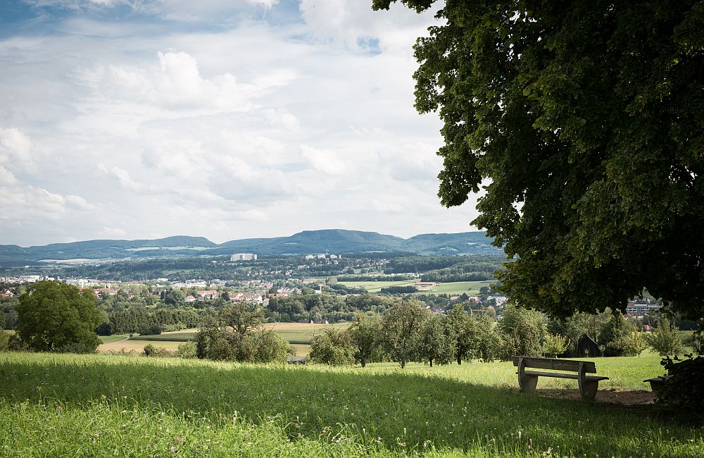 Ortsansicht Wangen