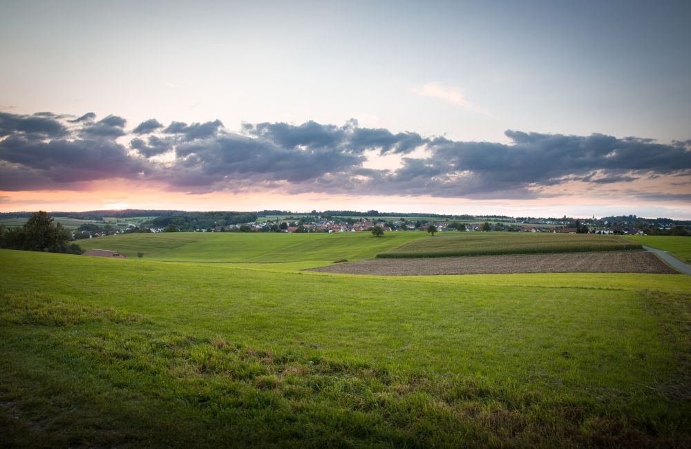 Ortsansicht Wangen